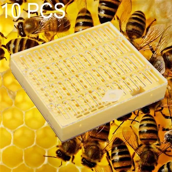 1 Шт Пластиковая Коробка Для Пчелиной Матки Коробка Для Выращивания Матки Инструмент Для Выращивания Пчелиной Матки Инструмент Для Пчеловодства Пластик Прочный Не Наносит Вреда Пчелиной Матке