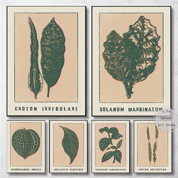 Старинные комнатные растения Croton Irregulare Plant / Кукуруза Zea Japonica Художественный плакат, картина на холсте, настенная печать, картина для домашнего декора комнаты